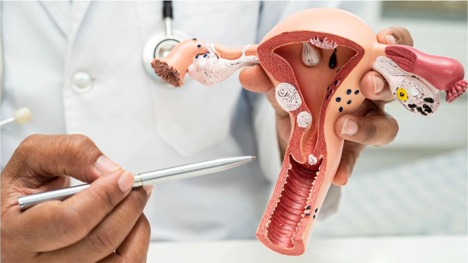 Ginecología y obstetricia