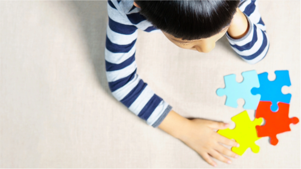 Trastorno del desarrollo infantil y sus implicaciones